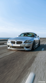 IMG_2566 (1).png
