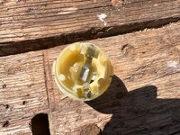 IMG_6845.jpeg