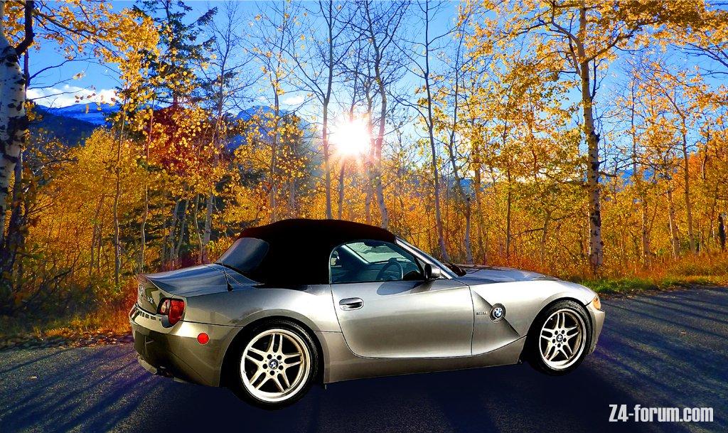 BMW Z4