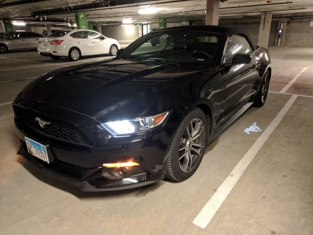 mustang1.jpeg