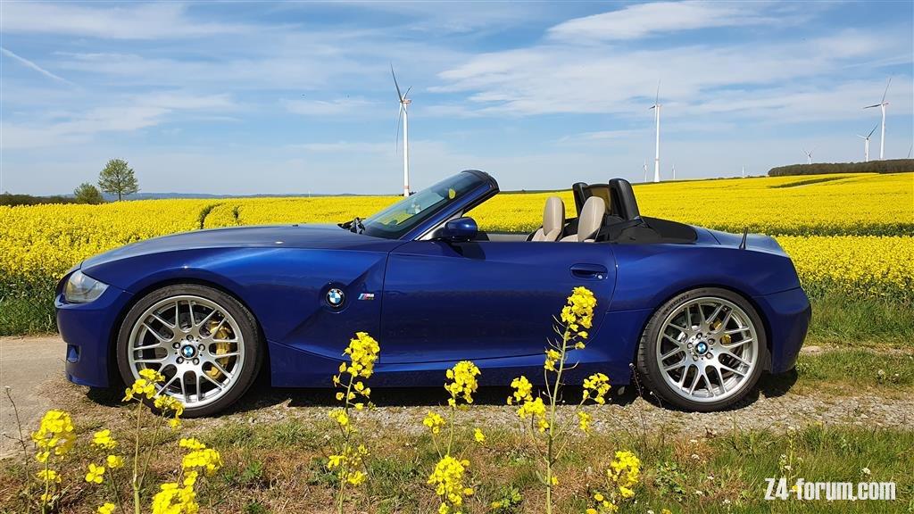Z4M in the middle of rapeseed fields
